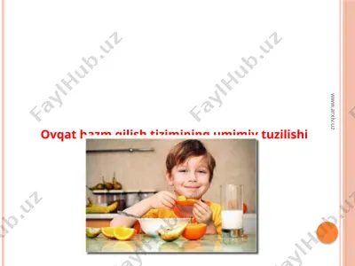 ovqat hazm qilish tizimining umimiy tuzilishi va yosh xususiyatlari — PPTX