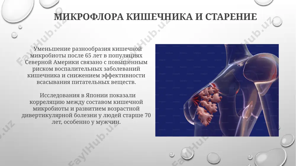 ет, в европейских странах часто приводит к застою желчи и образованию камней (до 20% случаев). возрастные изменения печени увеличение количества соединительной ткани в печени (фиброз) после 40 лет в 2-3 раза повышает риск развития жировой дистрофии печени и снижает её способность к регенерации. с возрастом уменьшается количество гепатоцитов в печени на 30-40% к 70 годам, что снижает её функциональную активность, особенно в регионах, таких как перипортальные зоны. возрастные изменения поджелудочной железы исследования показывают, что у 70% людей старше 65 лет в поджелудочной железе наблюдается фиброз – замещение ткани соединительной, что уменьшает её функциональные возможности и может быть связано с развитием диабета 2 типа в регионах с высокой распространенностью ожирения, таких как сша с возрастом, начиная примерно с 40 лет, в поджелудочной железе снижается количество ацинарных клеток, ответственных за выработку пищеварительных ферментов, что может приводить к нарушению пищеварения, особенно в странах с низким уровнем потребления фруктов и овощей. моторика толстой кишки …