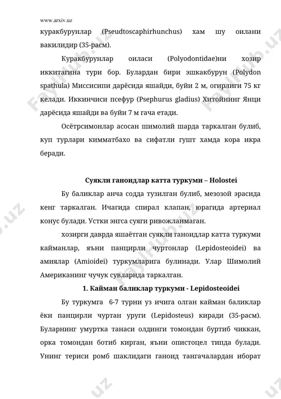 лмайди, баъзиларида суяк тикан булиши мумкин. жагларида тишлари бор, купинча узун муйлови булади. бизда одатдаги лакка (silurus glanis) кенг таркалган. 3. илонсимон баликлар туркуми - anguilliformes бу баликлар гавдасининг узун ва илонсимон булиши, корин ва баъзан кукрак сузгич канотлари булмаслиги билан характерланади. типик вакили одатдаги илонбалик – угор (anguillu anguklla; (35 – расм) булиб, унинг кизикарли томони шундаки, бу балик икра ташлаш учун чучук сувдан (дарёдан) денгизга утади ва денгизда зиготадан хаётининг учинчи йилида личинка чикади ва европа киргокларига келади (36 – расм). 3. чуртонсимонлар туркуми – esociformes бу баликлар чучук сувларда яшайди, узунлиги 1,5 м га, массаси 35 кг етади. йирткич булиб майда, овланмайдиган баликлар билан овкатланади. вакили чуртон балик (esox lucius)дир (35-расм). 4. олабуга – чуртонсимонлар туркуми - percesoces бу туркумга хаво пуфакчалари ёпик булган, кора денгизда яшайдиган ва овланадиган кефал (mygil) кукрак сузгич канотлари узун булган учар балик (exocoetus), (35 – расм), жаги жуда узун буладиган сарган …