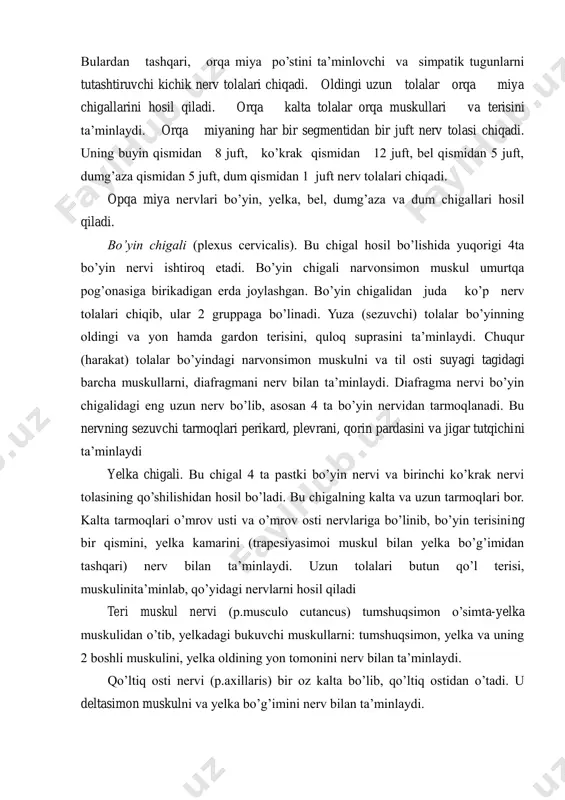 yin, yelka, bel, dumg’aza va dum chigallari hosil qiladi. bo’yin chigali (plexus cervicalis). bu chigal hosil bo’lishida yuqorigi 4ta bo’yin nervi ishtiroq etadi. bo’yin chigali narvonsimon muskul umurtqa pog’onasiga birikadigan erda joylashgan. bo’yin chigalidan juda ko’p nerv tolalari chiqib, ular 2 gruppaga bo’linadi. yuza (sezuvchi) tolalar bo’yinning oldingi va yon hamda gardon terisini, quloq suprasini ta’minlaydi. chuqur (harakat) tolalar bo’yindagi narvonsimon muskulni va til osti suyagi tagidagi barcha muskullarni, diafragmani nerv bilan ta’minlaydi. diafragma nervi bo’yin chigalidagi eng uzun nerv bo’lib, asosan 4 ta bo’yin nervidan tarmoqlanadi. bu nervning sezuvchi tarmoqlari perikard, plevrani, qorin pardasini va jigar tutqichini ta’minlaydi yelka chigali. bu chigal 4 ta pastki bo’yin nervi va birinchi ko’krak nervi tolasining qo’shilishidan hosil bo’ladi. bu chigalning kalta va uzun tarmoqlari bor. kalta tarmoqlari o’mrov usti va o’mrov osti nervlariga bo’linib, bo’yin terisining bir qismini, yelka kamarini (trapesiyasimoi muskul bilan yelka bo’g’imidan tashqari) nerv bilan ta’minlaydi. uzun tolalari butun …