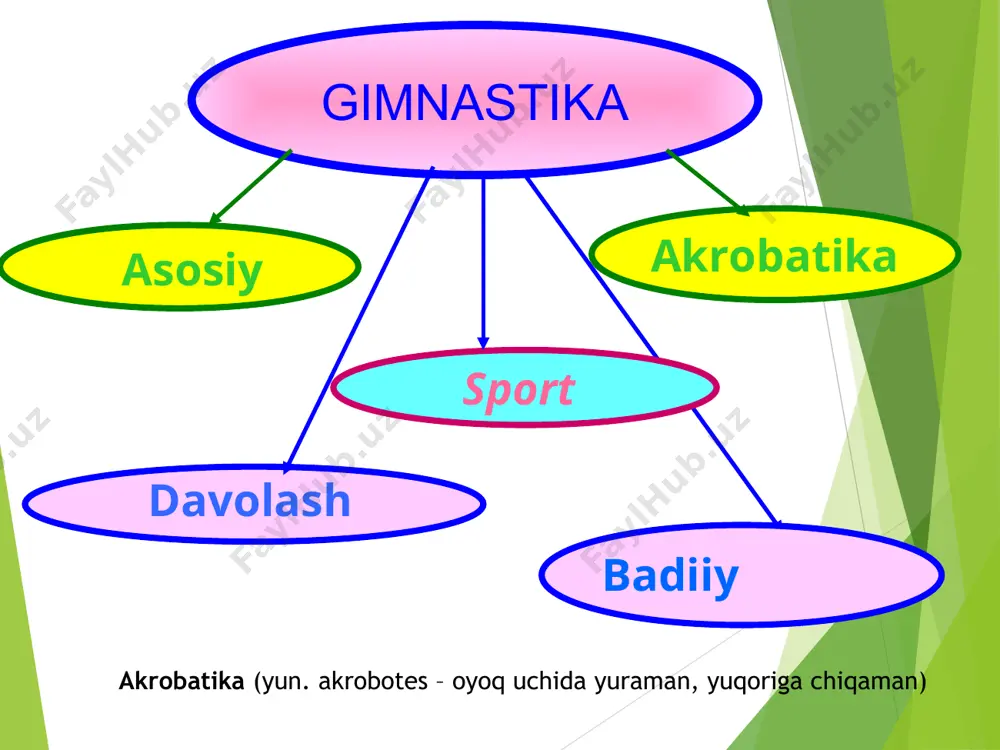 gimnastikaning rivojlanish tarixi - Page 4