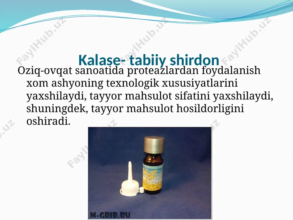 sut sanoatda ferment tayyorlash - Page 5