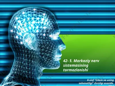 markaziy nerv sistemasining tormozlanishi. 8 - sinf — PPTX