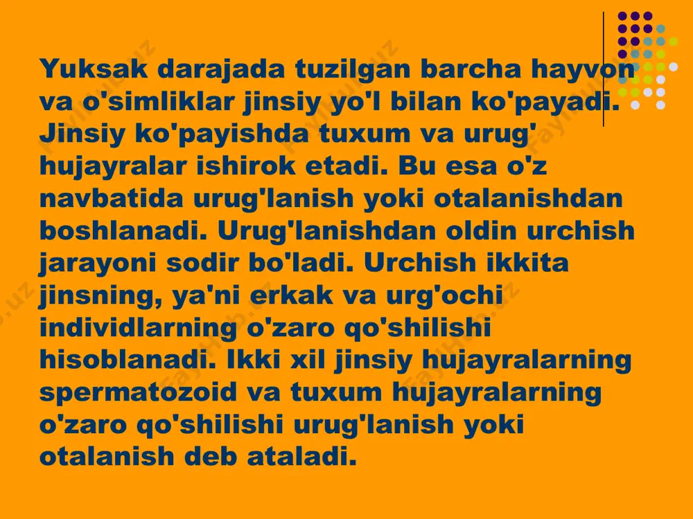 bo‘ladi va ular izogametalar deyiladi. bu gametalar genetik va sitoplazma tuzilishi jixatdan bir xil bo‘ladi. bunday gametalar urug‘lanish emas, balki kopulyatsiya deyiladi. kopulyatsiya – lotincha qo‘shilish degan ma’noni bildiradi. tuxum hujayrani otalanishi uchun 1 ta spermatozoid kerak bo‘ladi. urug‘lanishdan so‘ng ikkala jinsiy hujayralarning yadrosi qo‘shiladi va bitta organizm taraqqiy etadi boshlaydi. bu hodisa monospermiya deb ataladi. 1890 yilda ryukard kaptarlarning 1 ta tuxum hujayrasiga 15-25 tagacha spermatozoid kirganligini aniqlagan. bu xodisa polispermiya deyiladi. agar tuxum hujayraga ortiqcha spermatozoid kirsa rivojlanish buziladi. boshqa spermatozoidlarni sentriolasi maydalanish markazini belgilaydi va birdaniga bir necha blostomerlar xosil bo‘lib embrion yashovchanligini yo‘qotadi. o`simliklar olamida urug’lanish changda qanday hujayralar bo`ladi? yirik vegetativ hujayra mayda generativ (spermiy) urug’kurtakda qanday hujayralar yetishadi? 1.markaziy hujayra (2n) 2.tuxum hujayra (1n) markaziy + spermiy = endosperm tuxum + spermiy = murtak 2-3 кунлик ривожланаётган тухум хужайра 48-соатдан сўнг 4-5 кунда бачадондаги жойлашуви 40-кунлик эмбрион касалланган эмбрион миянинг риожланиши кўзнинг ривожланиши нафас …
