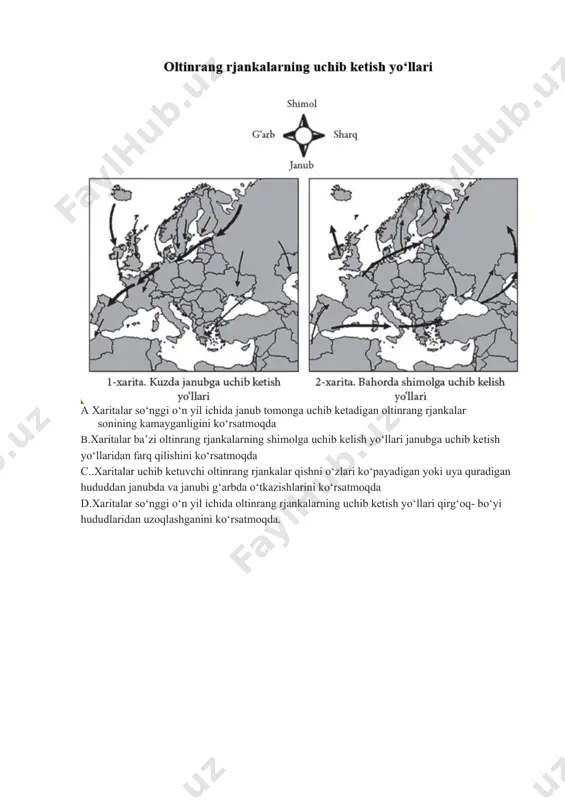 qushlar migratsiyasi - Page 3