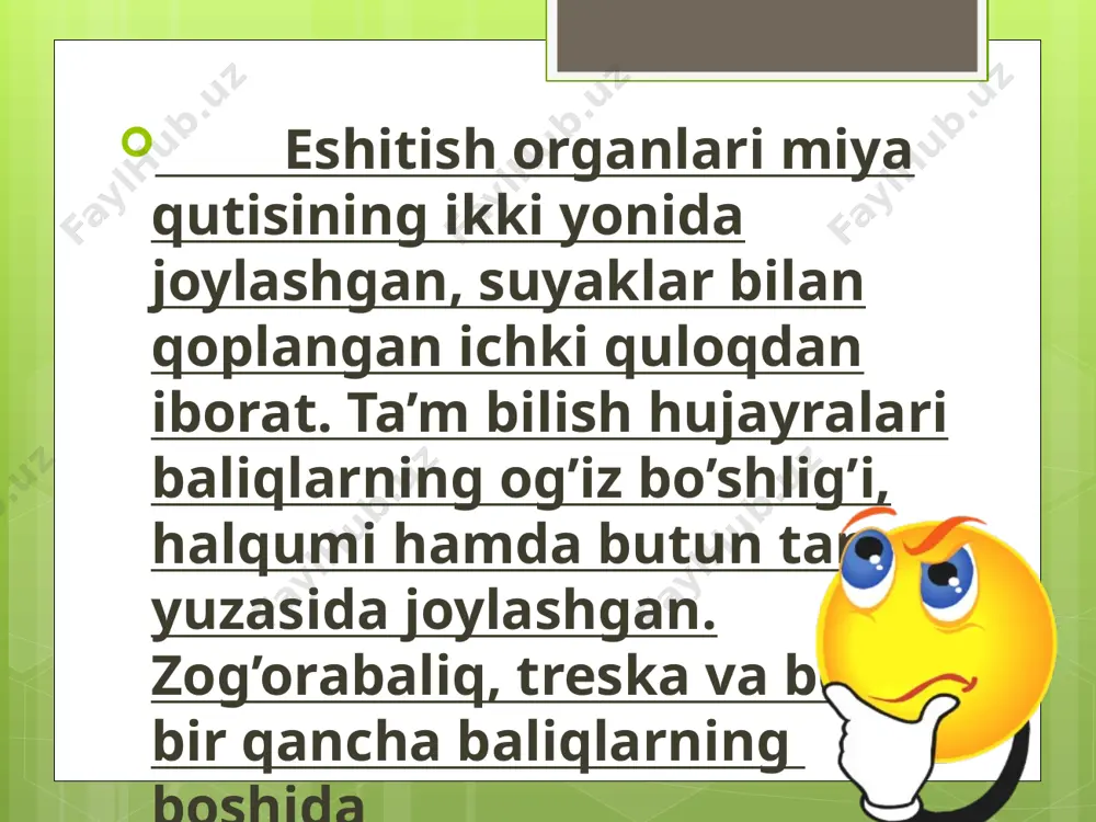 baliqlarning markaziy nerv sistemasi - Page 5