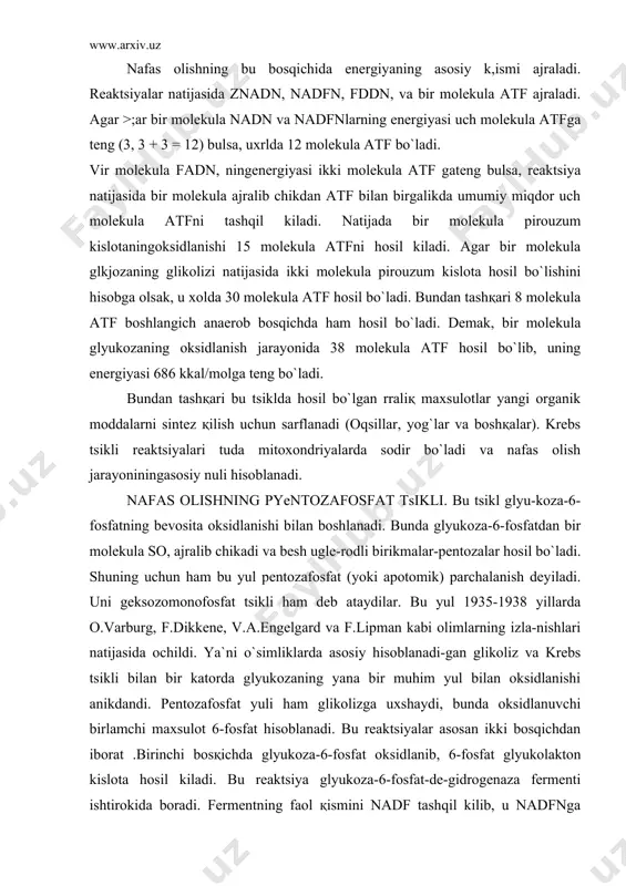 nadi (oqsillar, yog`lar va boshқalar). krebs tsikli reaktsiyalari tuda mitoxondriyalarda sodir bo`ladi va nafas olish jarayoniningasosiy nuli hisoblanadi. nafas olishning pyentozafosfat tsikli. bu tsikl glyu-koza-6-fosfatning bevosita oksidlanishi bilan boshlanadi. bunda glyukoza-6-fosfatdan bir molekula so, ajralib chikadi va besh ugle-rodli birikmalar-pentozalar hosil bo`ladi. shuning uchun ham bu yul pentozafosfat (yoki apotomik) parchalanish deyiladi. uni geksozomonofosfat tsikli ham deb ataydilar. bu yul 1935-1938 yillarda o.varburg, f.dikkene, v.a.engelgard va f.lipman kabi olimlarning izla-nishlari natijasida ochildi. ya`ni o`simliklarda asosiy hisoblanadi-gan glikoliz va krebs tsikli bilan bir katorda glyukozaning yana bir muhim yul bilan oksidlanishi anikdandi. pentozafosfat yuli ham glikolizga uxshaydi, bunda oksidlanuvchi birlamchi maxsulot 6-fosfat hisoblanadi. bu reaktsiyalar asosan ikki bosqichdan iborat .birinchi bosқichda glyukoza-6-fosfat oksidlanib, 6-fosfat glyukolakton kislota hosil kiladi. bu reaktsiya glyukoza-6-fosfat-de-gidrogenaza fermenti ishtirokida boradi. fermentning faol қismini nadf tashqil kilib, u nadfnga qaytariladi. 6-fosfatglyukolakton kislota suv ishtirokida 6-fosfatglkjonat kislotaga aylanadi va bu kislota dekarboqsillanish reaktsiyasi natijasida pentozafosfat hosil kiladi. reaktsiya natijasida …