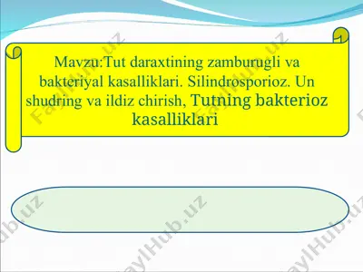 tut daraxtining zamburugli vabakteriyalkasalliklari — PPT