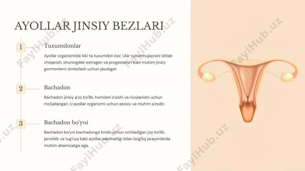 jinsiy bezlar tuzulishi - Page 4
