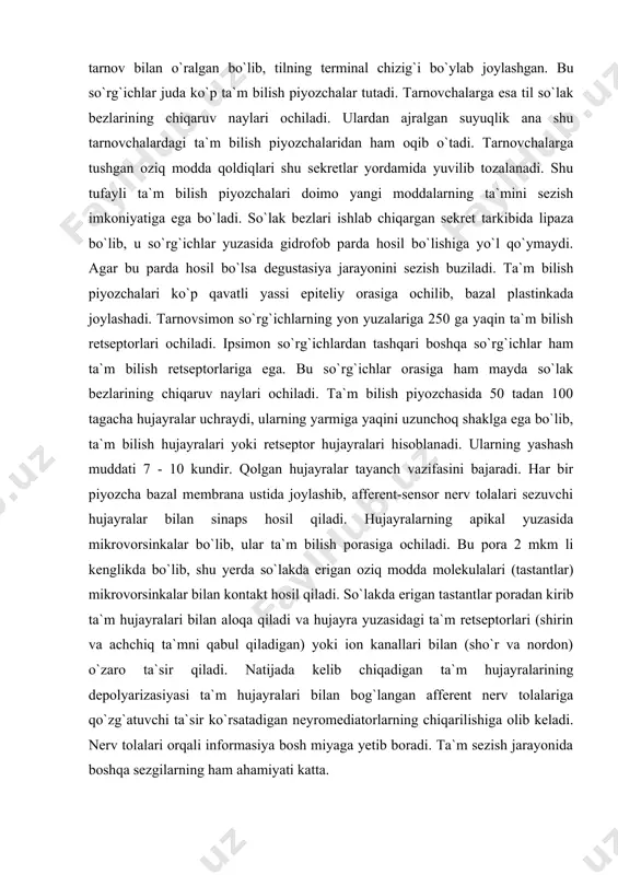 shqa so`rg`ichlar ham ta`m bilish retseptorlariga ega. bu so`rg`ichlar orasiga ham mayda so`lak bezlarining chiqaruv naylari ochiladi. ta`m bilish piyozchasida 50 tadan 100 tagacha hujayralar uchraydi, ularning yarmiga yaqini uzunchoq shaklga ega bo`lib, ta`m bilish hujayralari yoki retseptor hujayralari hisoblanadi. ularning yashash muddati 7 - 10 kundir. qolgan hujayralar tayanch vazifasini bajaradi. har bir piyozcha bazal membrana ustida joylashib, afferent-sensor nerv tolalari sezuvchi hujayralar bilan sinaps hosil qiladi. hujayralarning apikal yuzasida mikrovorsinkalar bo`lib, ular ta`m bilish porasiga ochiladi. bu pora 2 mkm li kenglikda bo`lib, shu yerda so`lakda erigan oziq modda molekulalari (tastantlar) mikrovorsinkalar bilan kontakt hosil qiladi. so`lakda erigan tastantlar poradan kirib ta`m hujayralari bilan aloqa qiladi va hujayra yuzasidagi ta`m retseptorlari (shirin va achchiq ta`mni qabul qiladigan) yoki ion kanallari bilan (sho`r va nordon) o`zaro ta`sir qiladi. natijada kelib chiqadigan ta`m hujayralarining depolyarizasiyasi ta`m hujayralari bilan bog`langan afferent nerv tolalariga qo`zg`atuvchi ta`sir ko`rsatadigan neyromediatorlarning chiqarilishiga olib keladi. nerv …