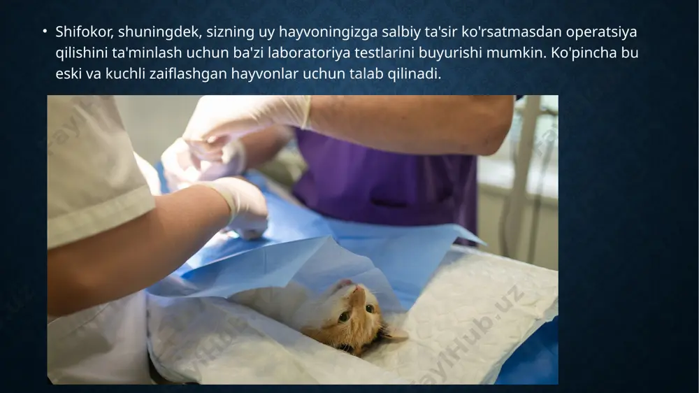 it va mushuklar laporotomiya texnikasi - Page 5