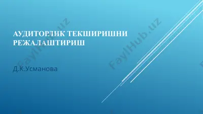 аудиторлик текширишни режалаштириш — PPTX