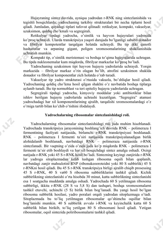 r va fibrilyar komponent teng miqdorda joylashgan bo’ladi. yadrocha strukturasida donador-fibrilyar komponentlar o’zaro birlashib 100-200 nm o’lchamdagi ipsimon komponentni tashkil etadi. bu strukturani hatto yorug’lik mikroskoplarida ham ko’rish mumkin. o’simlik va hayvon hujayra yadrochalarida fibrilyar komponentlar bir xil tarkibda bo’lmasdan fibrilyar markazni tashkil qiladi. uning o’rta qismi past elektron bosimda, atrofi esa yuqori elektron bosimdagi zich fibrilyar komponent bilan o’ralgan bo’ladi. yadrochada donador va fibrilyar komponentlardan tashqari yadrocha oldi xromatinlar ham uchraydi. xromatin fibrillalari, donador (granulyar) komponent oraliqlariga kirib, aralashma ham hosil qiladi. yadrocha tarkibida oqsilli tayanch-matriks mavjud. shunday qilib, yadrocha tarkibiga kiruvchi quyidagi komponentlar tafovut qilinadi: donador, fibrilyar markaz, zich fibrilyar komponent, xromatin va to’rsimon oqsilli matriks. hujayraning sintez davrida, ayniqsa yadrodan r-rnk ning sintezlanishida va tegishli bosqichlarda, yadrochaning tarkibiy strukturalari bir necha tiplarni hosil qiladi. jumladan, quyidagi tiplari tafovut qilinadi: retikulyar, kompakt, vakuolyar, uzuksimon, qoldiq cho’kmali va segregirali. retikulyar tipdagi yadrocha, o’simlik va hayvon hujayralari yadrosida ko’proq uchraydi. …