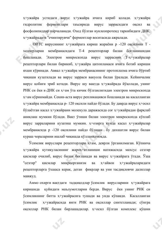 га ўтиши учун у аввало, махсус оқсил - транспорт оқсили(то) билан комплекс ҳ+осил қилади. вирус рнк ҳ+ то ( рнк-то комплекси и.г.атабеков (2006) ва унинг лабораторияси ходимлари ўта нозик тажрибалар асосида бу гипотезани тасдиқладилар, яъни вирус рнк си транспорт оқсили билан комплексда бўлганида кўпайиш хусусиятини намоён қилмаслигини аниқладилар. вирус фақат мембранасида вирус транспорт оқсили билан мулоқатда бўлаоладиган рецептор оқсилига эга ўсимликлар ҳ+ужайрасинигина касаллантираолади, деб тахмин қилишди. бу гипотезани текшириш учун олимлар рнк ва оқсилнинг сунъий комплексини яратдилар. биринчи тажрибада тмв рнк аси билан унинг ўз транспорт оқсилини бирлаштиришди: рнктмв қ тотмв ( рнктмв - то комплекси ва иккинчи ҳ+олатда эса рнк ани арпа чизиқли мозаикаси вируси (ачмв) оқсили билан бирлаштиришди. рнктмв ҳ+ тоачмв ( рнктмв-тоачмв комплекси бу комплексларни (тмврнк қ тмвтр-оқс. ва тмврнк қ ачмвоқс. комплексилари) уч турдаги ўсимликларга - тамаки, хенопдиум(шўра) ва гомфрена ўсимликларига киритдилар (юқтирдилар). бу ўсимликларни ҳ+аммаси ҳ+ам тмв га сезгир ўсимликлардир (касалланади), ачмв га эса фақат …