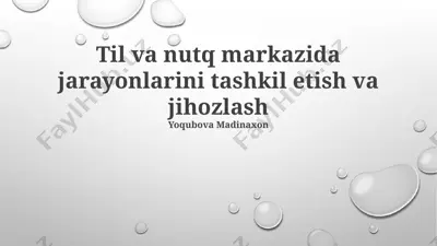 til va nutq markazida jarayonlarini tashkil etish va jihozlash — PPTX
