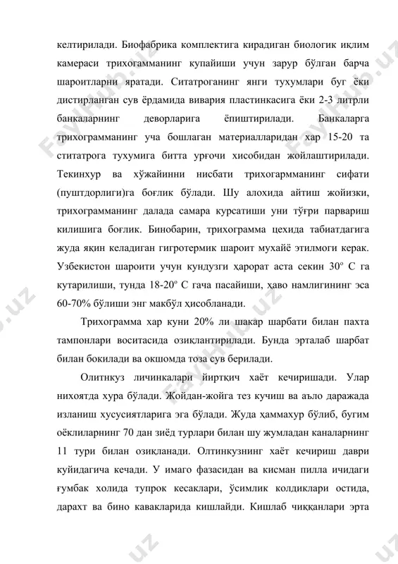 и купайтириш усули самарали ҳисобланади. бунда энкарзия купайтириш учун ажратилган майдон тенг 3 бўлимга ажратилади. 1 бўлимда энкарзияни далада қўллаш керак бўлади. бунда олдиндан 2 ой бурун тамаки кўчатлари утказилад. ўсимлик узини тутиб 4-5 та чин барг ҳосил килгандан сўнг окқанот билан зарарланади. окқанот етук зотлари ўсимликни пастки баргларига тупланиб тухум куя бошлайди. орадан 1 хафта уткач баргларда личинкалар пайдо бўлиши билан энкарзия билан зарарланади. бу вақтга келиб хар бир тамаки баргида 1000-2000 тагача 1 ёшдаги личинкалар пайдо бўлади. личинкаларни энкарзия 2 ёшдан бошлаб зарарлай бошлайди. личинкаларни энкарзия билан зарарлаш энкарзия гумбаги бўлган баргларни ўсимлик шохи орасига чикиши билан амалга оширади. бу вақтга келиб окқанот 1 ёшдаги личинкалари улгайиб 2 ёшга утган бўлади. энкарзияни одатда окқанот сонига кура 1:5 нисбатда таркатилади. окқанот личинкаларида 7-8 кун ичида энкарзиянинг гумбаги пайдо бўлади. бундай ғумбакларнинг тамаки баргида пайдо бўлиши 70 % га етганда энкарзияни йиғиштириб олишга киришилади. энкарзияни бу усулда купайтириш учун иссиқлик …