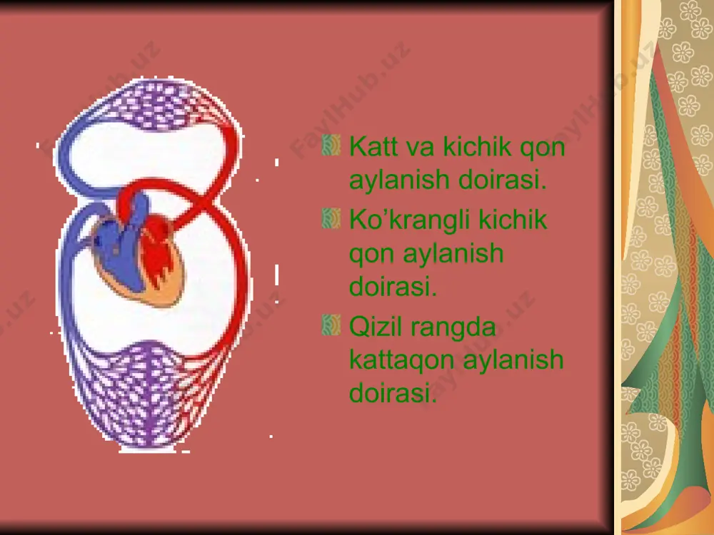 yurak faoliyatining tovushli belgilari - Page 4