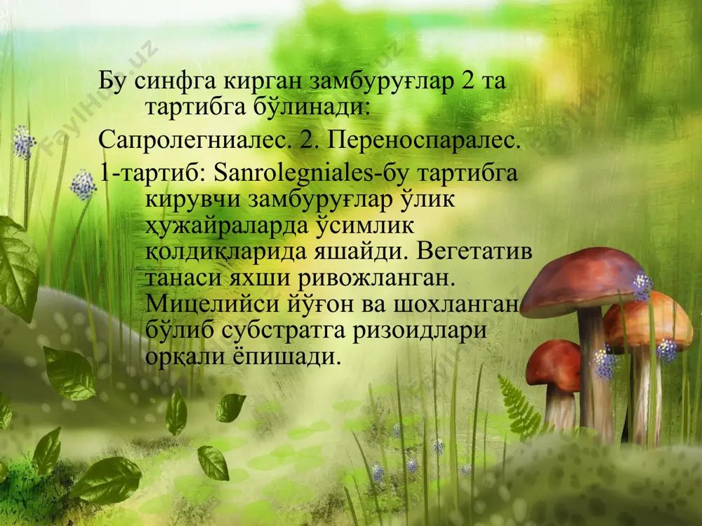 оомицетлар синфининг систематикаси ва уларнинг вакиллари - Page 4