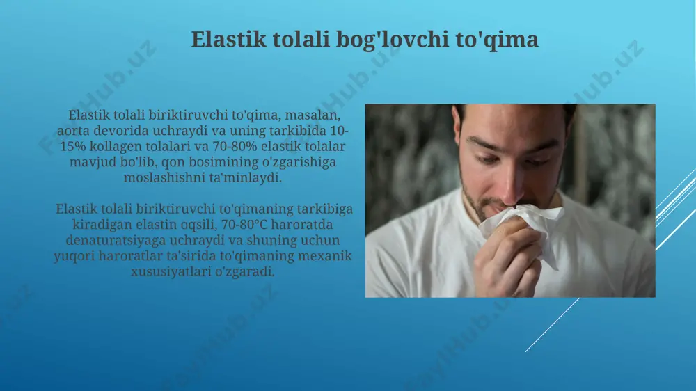 izm uchun muhim ahamiyatga ega, masalan, afrika mamlakatlarida ocharchilik paytida hayotni saqlab qolishda muhim rol o'ynaydi. suyak to'qimasi suyak to'qimasining 60% dan ortiq qismini gidroksiapatit kristallari tashkil etadi, ularning qattiqligi va mustahkamligi inson skeleti uchun muhim ahamiyatga ega bo'lib, taxminan 206 ta suyakdan iborat. suyak to'qimasida osteositlar, osteoblastlar va osteoklastlar kabi uch xil hujayra mavjud bo'lib, ular suyakning shakllanishi, o'sishi va ta'mirlanishida muhim rol o'ynaydi, masalan, uzun suyaklarning uzunligi 20 yoshgacha o'sadi. qattiq tolali bog'lovchi to'qima qattiq tolali biriktiruvchi to'qima asosan i va iii tipdagi kollagen tolalaridan iborat bo'lib, ularning zich joylashuvi tufayli yuqori kuchlilik va chidamlilik xususiyatlariga ega, masalan, tendonlarda 70% gacha kollagen mavjud. qattiq tolali biriktiruvchi to'qimadagi fibroblastlar hujayralari to'qima sintezini va ta'mirlanishini ta'minlaydi, va ularning faolligi tananing turli qismlarida, masalan, tizzaning medial meniskida har xil darajada bo'ladi. yumshoq tolali bog'lovchi to'qima yumshoq tolali bog'lovchi to'qima, masalan, teri osti yog' qatlamida 15-20% hujayralar va 80-85% hujayralararo moddadan iborat …