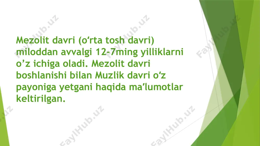 mezolitdavri mehnat qurollari va ularga ishlov berish texnikasi - Page 4