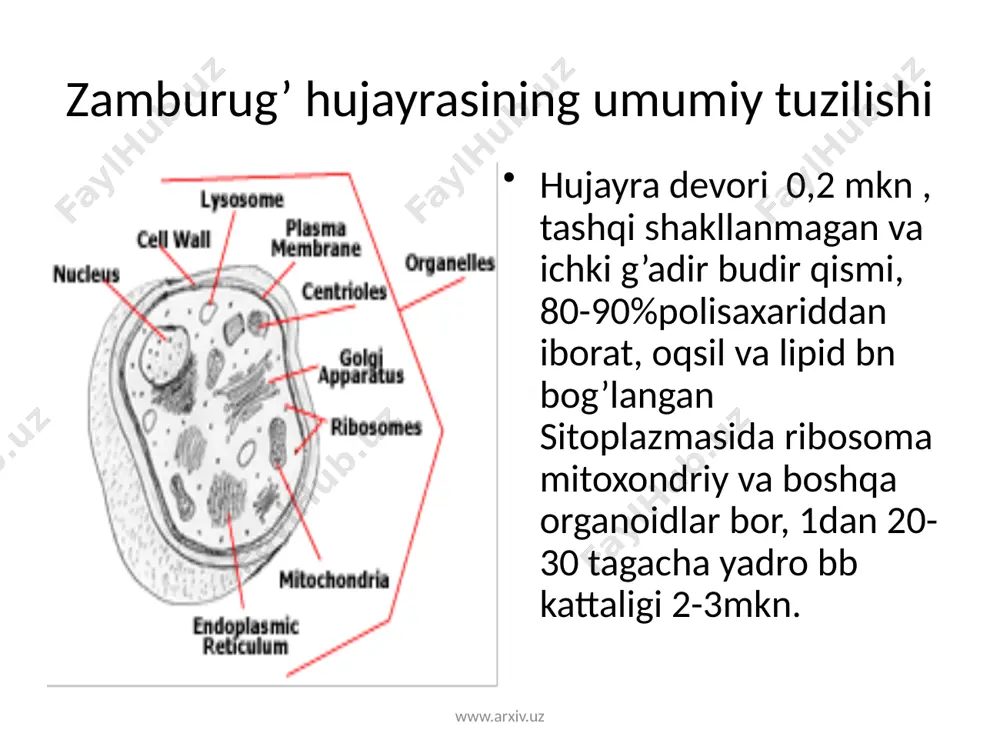 com www.arxiv.uz www.arxiv.uz e’tiborlaringiz uchun rahmat savollar bo’lsa marhamat !!! image3.png image4.png image5.png image6.png image7.png image8.png image9.png image10.png image11.png image12.png image13.png image14.png image15.png image16.png image17.png image18.png image19.png image20.png image21.png image22.png image23.png image24.png image25.png image26.png image27.png image28.png image29.png image30.png image31.png image32.png image33.png image34.png image35.png image36.png image37.png image38.png image39.png
