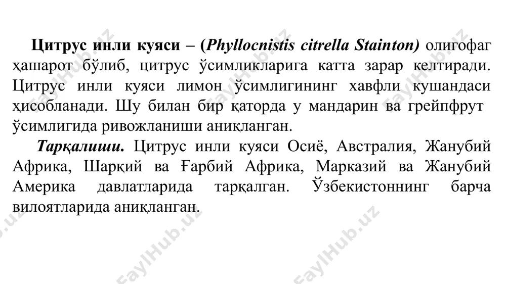 ухум қўйишини бошлайди. баҳорги учиш вақти 3-4 ҳафтага чўзилади. урғочи тухумини биттадан ёки тўп-тўп қилиб баргнинг орқа қисмига 125 тагача (60-170) қўяди. иқлм шароити қулай бўлса, 225 тагача тухум қўйиши мумкин. эмбрионал ривожланиш 10-15 кунга чўзилади. личинка тухумдан 18-20°с га етгач пайдо бўлади ва бир неча соат ўтанда баргга жойлашади. ёзда ривожланиши 1 ойгача чўзилади. бизнинг республикамизда 5 авлод беради. оқ қанот ривожланиши учун ҳаво намлиги 80-85% бўлиши лозим. sitrus oq qanotiрус оққаноти. 3. австралия тарновсимон қурти— icerya purchase mask. тур – австралия тарновсимон қурти — icerya purchase mask. оила – гигант червецлар - monoblephidae туркум – тенгқанотлилар - homoptera ицерия деярли ҳамма қитъада-европа, осиё, африка, австралия, жанубий ва марказий америкада кенг тарқалган. мдҳда унчалик катта бўлмаган зараркунанда ўчоқлари мавжуд. кузатишларга қараганда тарқалиши мумкин бўлган ареал 25°с ҳарорат ва ҳаво намлиги 60-70% бўлган жойлар, яъни буларга қора денгиз бўйининг субтропик зоналаридан марказий осиёнинг ёпиқ грунтда цитрус экинлари етиштириладиган нам иқпимли …