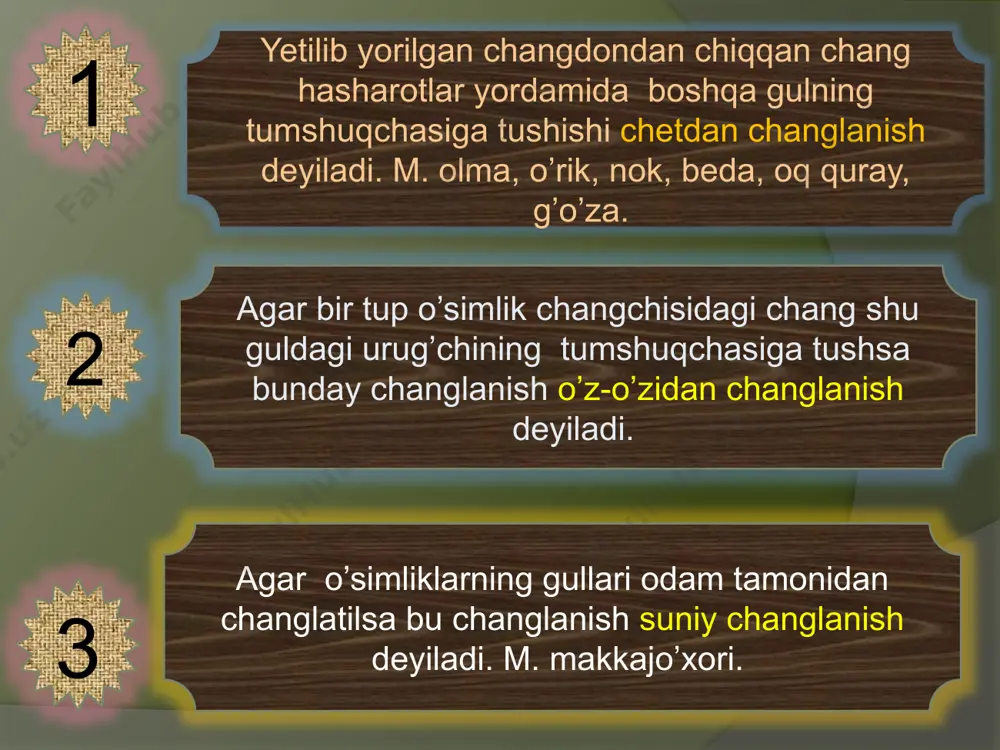ar deyilladi (o’rik, shaftoli, ochcha). agar oraliq qismi yupqa etsiz, quruq bo’lsa bunday mevalarga quruq mevalar deyiladi (no’xat, mosh, loviya, bodom, yong’oq, pista). meva. 10 qovoq, tarvuz, qovun, handalak tomoshaqovoqva bodirinhg qovoq mevalarga kiradi. o’rik, olxo’ri, olcha, gilos danakli mevalardir. meva. 11 quruq mevalar chatnaydigan. chatnamaydigan. meva. 12 chatnamaydiganlarga doni xususan bug’doy, arpa, suli, makkajo’xori kabilar. chatnaydiganlarga qo’zoq, qo’zoqcha, dukkaklar, ko’saklar kiradi. bularning urug’i pishgach chokidan ochiladi ya’ni chatnaydi (mosh, loviya, turp, rediska, jag’ - jag’). meva. 13 ko’sak mevalar - bir nechta mevabarglardan tashkil topgan, urug’ pishgandan kryin chokidan ochiladi. g’o’za. boychechak. chuchmoma. bangidevona. lola. meva. 14 no’xat, mosh, loviya, burchoq, va oq akatsiya dukkakli o’simliklardir. karam, qurttana, rediska, turp kabi o’simliklarning mevasi dukkakka o’xshasada, lekin orasida to’sig’i borligi bilan ulardan farq qiladi. bunday nevalarga qo’zoq va qo’zoqcha deyiladi. ayrim (zarang, qayrag’och va tolga) o’xshash manzarali daraxtlarning mevasi qanotchali meva hisoblanadi. meva. 15 ayniqsa bahorda terakning urug’chi tuplari mevasi …