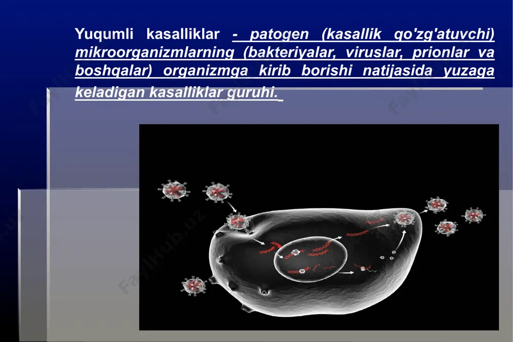 hollarda deratizatsiya amalga oshiriladi. yovvoyi hayvonlar infektsiya manbai bo'lgan tabiiy o'choqlarda, agar kerak bo'lsa, ularning populyatsiyasi odamlarning infektsiyasini oldini oladigan xavfsiz darajaga qadar yo'q qilish yo'li bilan qisqartiriladi. mamlakat hududini sanitariya muhofazasi bo'yicha chora-tadbirlar dengiz va daryo portlari, aeroportlar, avtomobil va temir yo‘llarda joylashgan sanitariya-epidemiologiya va ixtisoslashtirilgan epidemiyaga qarshi muassasalar tomonidan o‘tkaziladigan tadbirlar ham katta profilaktika ahamiyatiga ega. faoliyat doirasi va ularni amalga oshirish tartibi jsst tomonidan qabul qilingan “xalqaro sanitariya qoidalari” talablarini hisobga olgan holda ishlab chiqilgan mamlakatimizning “hududni sanitariya muhofazasi qoidalari” bilan belgilanadi. ushbu “qoidalar”ga muvofiq xalqaro ahamiyatga ega boʻlgan infektsiyalar: ayniqsa xavfli (karantin) infeksiyalar (chechak, vabo, oʻlat, sariq isitma) va xalqaro kuzatuv ostidagi kasalliklarga (tif va qaytalanuvchi isitma, bezgak, gripp, poliomielit) boʻlinadi. jsstga a'zo davlatlar ushbu tashkilotni tibbiy va sanitariya qoidalari bilan qamrab olingan kasalliklarning barcha holatlari va shu munosabat bilan ko'rilgan epidemiyaga qarshi choralar to'g'risida zudlik bilan xabardor qilishlari shart. infektsiyani yuqtirish mexanizmiga oid chora-tadbirlar hozirgi …