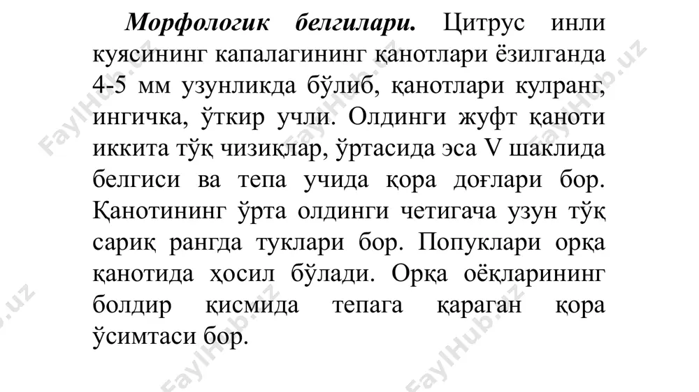 ratitis capitata wied. тур – ўрта ep денгиз мева пашшаси — сeratitis capitata wied. оила – чипорқанотлилар - tephritidae туркум – иккиқанотилилар - diptera европа-австрия, албания, греция, малта, нидерландия, испания, италия, осиё-афғонистон, исроил, индонезия, иордания, эрон, кипр, ливан, миср, туркия, ява ороллари; африка-жазоир, миср, зоир, зимбабве, конго, ливия, маврикий, мадагаскар, марокко, нигерия, сенегал, судан, танзания, тунис, уганда, марказий ва жанубий америка-аргентина, бразилия, перу, австралия ва океанияда ҳам тарқалган. мдҳда 1937 йилда одессада тарқалган. 1964, 1966, 1967 ва 1968 йилларда севастополда ва иккинчи бор 1966 йилда одессада топилган. карантин ва қирувчи тадбирлар натижасида уларнинг марказлари йўқ қилинган. охирги йилларда ўрта ер денгиз мева пашшасининг кириб келиш хавфи озарбойжон, грузия ва эронда кузатилди. бу мамлакатларда 1976 йилда тарқалган ва тез кўпайиб кетган эди. унинг тарқалиши натижасида мева етиштирадиган хўжаликларга тез иқлимлашади ва ўрик, шафтоли, шунингдек цитрус меваларини зарарлайди. апельсин, мандарин, лимон, банан, кофе, хурмо, анжир, қулупнай, анор, ўрик, олма, гилос, узум, помидор, …