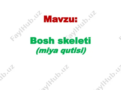 boshskeleti (miyaqutisi) — PPTX