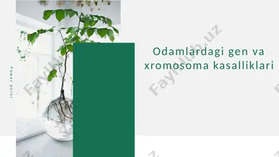 odamlardagi gen va xromosoma kasalliklari — PPTX