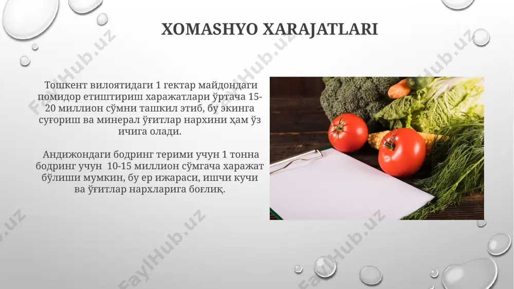 sabzavot mahsulotlari tannarxini hisoblash - Page 5
