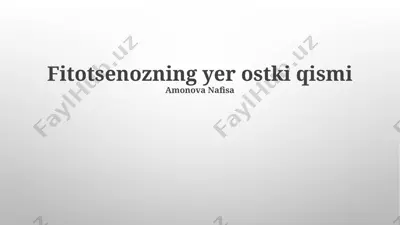 fitotsenozning yer ostki qismi — PPTX