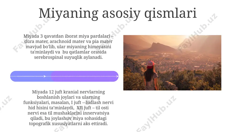 orqa miya va orqa miya pardalari, uning yoshga doir xususiyatlari - Page 4