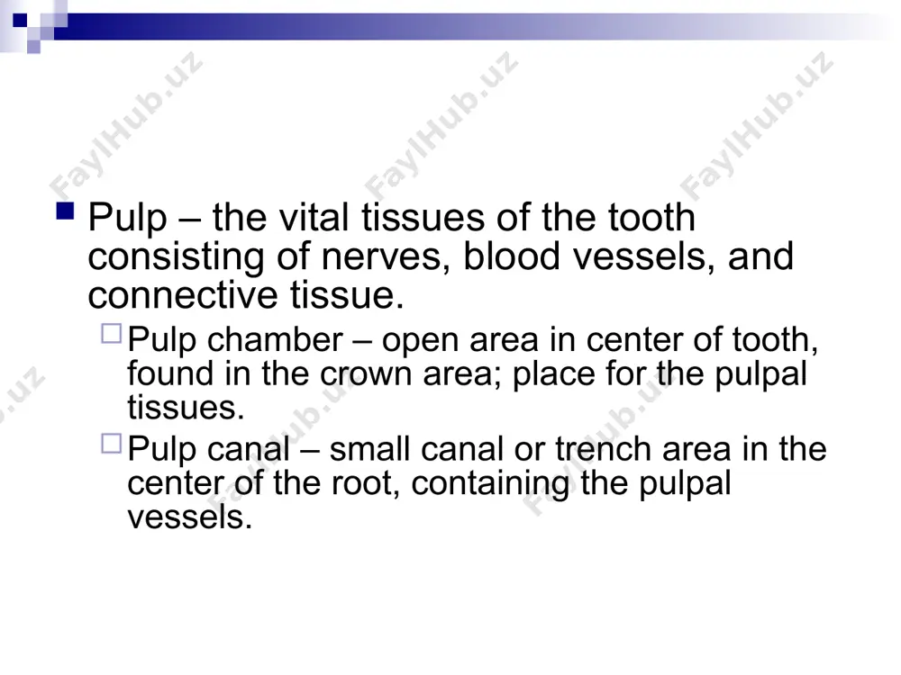 ot cervix apex alveolar process alveolar bone periodontal ligament gingiva attached gingiva free gingiva labial more keywords superior oris inferior oris commissure vermillion philtrum frenum palate hard palate soft palate gag reflex uvula retromolar pad tuberosities facial labial buccal lingual incisal edge occlusal rugae
