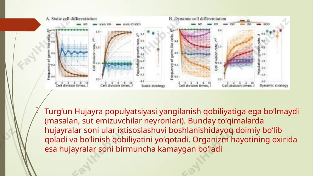 ga uchraydi. xulosa apoptoz bu rejalashtirilgan oʻlim yoki “hujayraning oʻz joniga qasd qilishi”dir. bu hujayralar shikastlanish tufayli nobud boʻladigan nekrozdan farq qiladi. apoptoz rejalashtirilgan hujayraviy oʻlimning yagona shakli emas, lekin yaxshi oʻrganilgan shakli. apoptoz – bu keraksiz hujayra tarkibiy qismlari immun hujayralar tomonidan “yigʻish” uchun mayda membrana qadoqlariga oʻraladigan tartibli jarayon. bu jarayon oʻlgan hujayra tarkibiy qismlari tashqariga oqib chiqib, yalligʻlanish chaqiradigan nekroz (shikast natijasida yuzaga keluvchi oʻlim)dan farq qiladi. apoptoz embrional rivojlanish davomida ortiqcha hujayralarni yoʻq qiladi. bundan tashqari, virus bilan zararlangan va saraton oldi hujayralarini ham yoʻq qiladi. shunga qaramay, “omadli” saraton hujayralari apoptozdan qochib, koʻpayishda davom etishi mumkin. apoptoz odam tanasida hujayralar muvozanatini taʼminlaydi va immun sistemasi uchun ayniqsa zarurdir. e’tiboringiz uchun raxmat! image1.png image2.png image3.png image4.png image5.png image6.png image7.png image8.png image9.png image10.png image11.png image12.png image13.png image14.png image15.png /docprops/thumbnail.jpeg