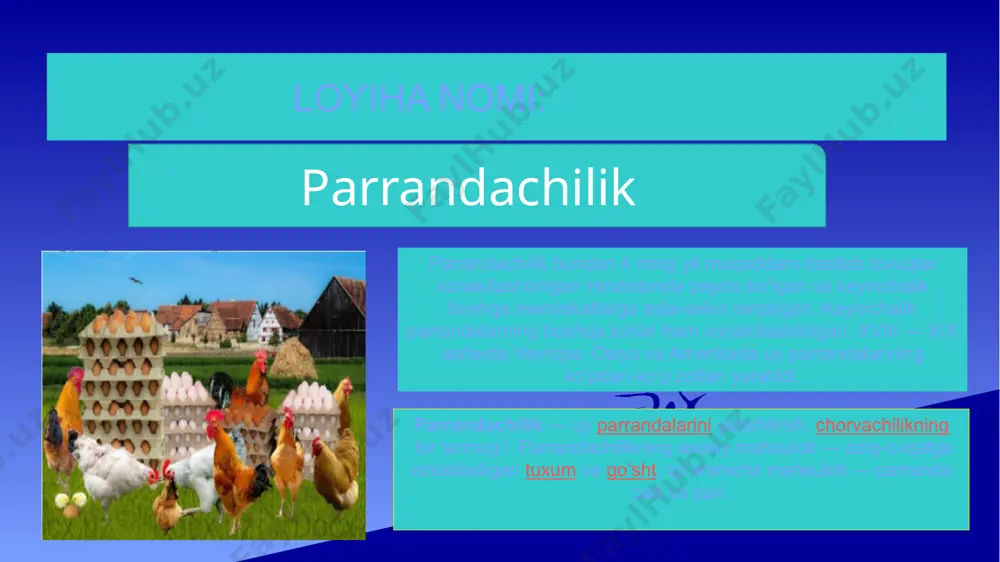 oʻp zotlari yaratildi. parrandachilik — uy parrandalarini yetishtirish; chorvachilikning bir tarmogʻi. parrandachilikning asosiy mahsuloti — oziq-ovqatga ishlatiladigan tuxum va goʻsht; qoʻshimcha mahsuloti — parranda pati va pari. tannarx hisob kitobi. № xarajat nomi bir oyda ming so’m bir yilda ming so’m 1 xom ashyo 5 000 000 60 000 000 2 ish haqi 1 250 000 15 000 000 4 kamunal xarajatlar 317,74 3 812 000 5 transport xarajatlari 300 000 3 600 000 i mahsulot tan narxi 85 960 917 522,8 ii yetishtirilgan mahsulotdan tushgan tushum 1 000 000 2 000 000 iii faoliyatdan ko’rilgan foyda 3 837 ming 46 044 ming sotishdan tushgan tushum № mahsulot nomi o’lchov birligi narxi bir oyda ishlab chiqarish hajmi bir yilda ishlab chiqarish hajmi bir yillik tushum ming so’m 1 1 ta tovuqdan 1ta tuxum dona 1500 30 dona 365 dona 730 -1095 ming jami dona 730 -1095 ming ushbu loyihani taqdim …