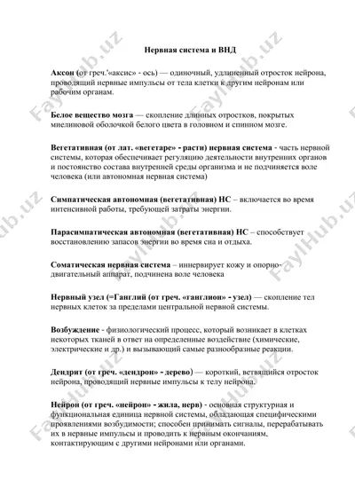 nervnaya sistema va vnd — PDF