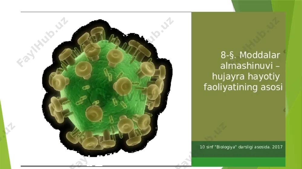 azotning o’simliklardagi modda almashinuviga ta’siri - Page 4