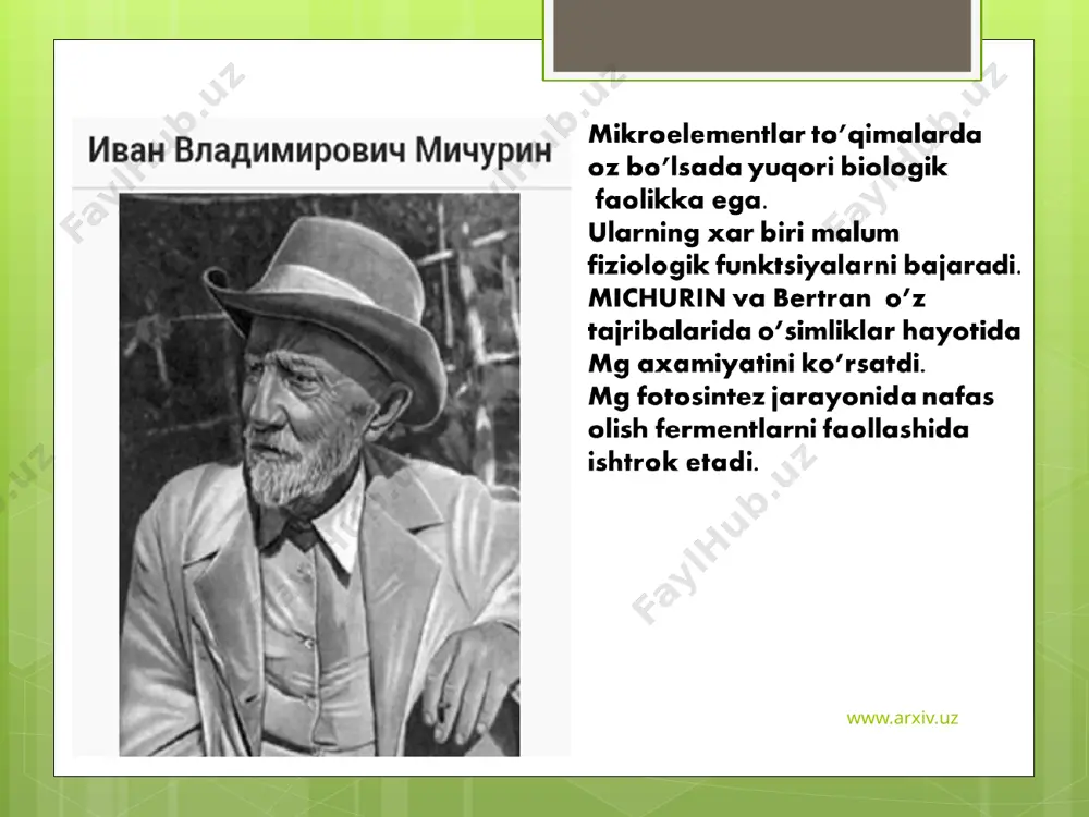 mikroelementlar va ularning fiziologik ahamiyati - Page 4