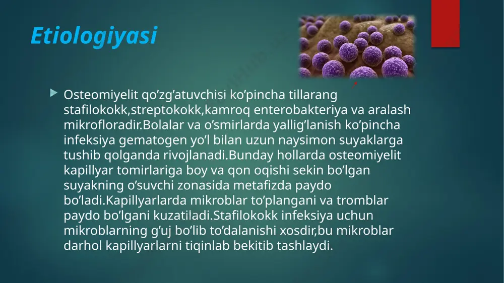 lanadi.bemorning umumiy ahvoli asta-sekin yomonlashib boradi,kamqonlik rivojlanadi,harorat ko’tariladi. ikkilamchi surunkali osteomiyelit klinikasi.xronik osteomiyelit odatda kasallikning o’tkir jarayoni oqibatida paydo bo’ladi.suyak sekvestrlarining paydo bo’lishi unga xosdir.oqma yaralardan halok bo’lgan mayda-mayda suyak parchalari bilan birga yiring suyuqligi chiqib turadi.kasallik zo’rayganda mahalliy qattiq og’riq paydo bo’ladi,tana harorati ko’tariladi,yumshoq to’qimalar flegmonasi avj oladi,oqma yaralarning ko’zi ochiladi.yiring suyuqligi chiqib ketgach,bemor o’zini yaxshi his qiladi. diagnostikasi osteomielit tashxisi murakkab va klinik shubhalar va yuqori oq qon hujayralari soni va isitma kabi bilvosita laboratoriya belgilarining kombinatsiyasiga tayanadi, ammo klinik va laboratoriya shubhalarini ko'rish orqali tasdiqlash odatda zarur.radiografiya va kompyuter tomografiyasi dastlabki diagnostika usulidir, ammo sezgir emas va tashxis uchun o'rtacha darajada xosdir. ular rivojlangan osteomielitning kortikal destruktsiyasini ko'rsatishi mumkin, ammo boshlang'ich yoki beparvo tashxislarni o'tkazib yuborishi mumkin. rentgen diagnostikasi rentgen diagnostikasi periosteumning qalinlashishi (periostit) - cso ning birinchi ishonchli rentgen belgisi - 10-14 kundan keyin paydo bo'ladi (s. a. reinberg). rentgen tasviri suyakdagi morfologik destruktiv o'zgarishlarning haqiqiy …