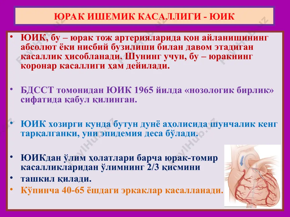бунда инфаркт ўчоғини кўз билан аниқлаб бўлмайди. микроскоп остида 6-8-соатларда томирлар кенгайиши, эритроцитлар стази ва глико-геннинг йўқолиши кузатилади 10-18-соатларда қон қуйилиш, лейкодиапедез, мушак толаларида кўндаланг тарғиллик йўқолиши, тўқ қизил бўялиши кузатилади. юик – миокард инфарктининг морфологик даврлари 2. некрозланиш даври кўз билан қаралганда оқ-сариқ рангли баъзида қизил хошияли некроз ўчоғи аниқланади. микроскоп остида кўрилганда мушак толалари қалинлашган, кўндаланг тарғиллиги йўқолган, ядролари лизисланиб йўқолган. некроз атрофида яллиғланишли демаркация халқаси аниқланади. агар субэндокардиал жойлашган бўлса, эндокардда тромбоз, субэпикардиал бўлса фибринозли перикардит аниқланади. юик – миокард инфарктининг морфологик даврлари 3. чандиқланиш даври кўз билан қаралганда оқ рангли, қаттиқ, мушак қатламига кириб тарқалган ўчоқ топилади. микроскоп остида кўрилганда мушак толалари ўрнида бириктирувчи тўқима ўсганлиги аниқланади. некроз атрофида мушак толаларининг гипертрофияланганлиги кузатилади. йирик ўчоқли постинқаркт кардиосклероз аниқланади. юик – миокард инфарктининг морфологик даврлари 3. асоратлари ва ўлим сабаблари кардиоген шок қоринчалар фибрилляцияси ўткир юрак етишмаслиги қоринча ўткир аневризмаси миомаляция ва ёрилиш қоринчада тромбоз перикардит қоринча …