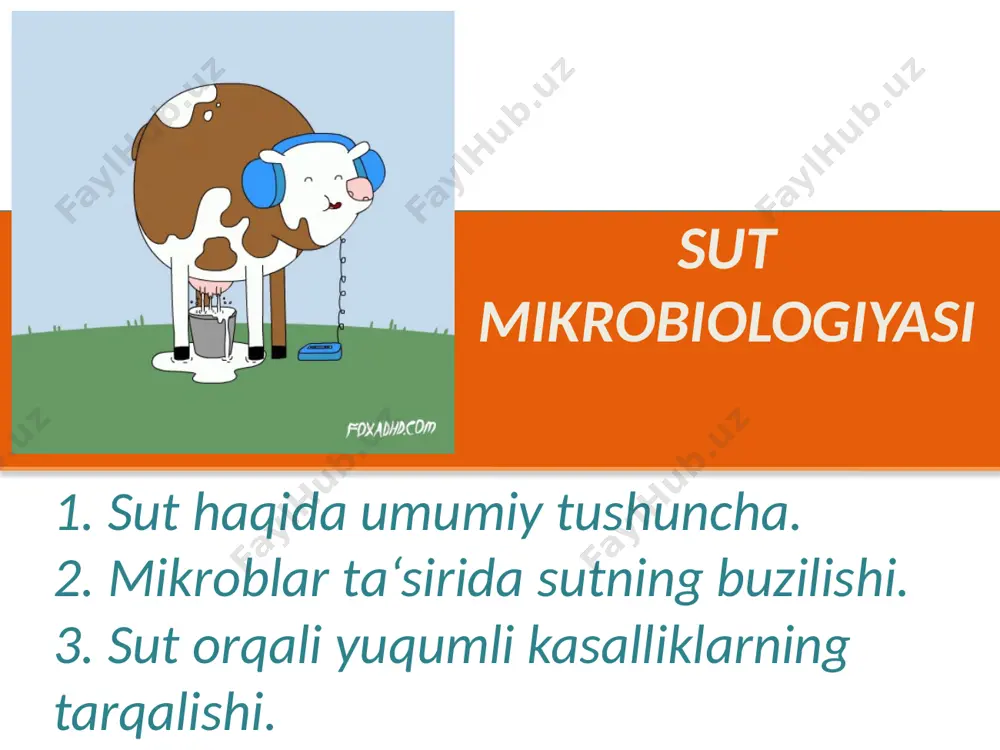 zein ishlab chiqarishda foydalaniladi. albumin yosh organizmning o‘sish jarayonlarini ta’minlashda, globulin immun tanachalarning paydo bo‘lishida muhim rol o‘ynaydi. qiziqarli ma’lumotlar yiliga dunyo bo‘yicha 700 million tonna sut ishlab chiqariladi. sut haqida umumiy tushunchalar oqsillar tavsifiga ko‘ra sut — kazeinli (juft tuyoqlilar — sigir, echki, qo‘y) va — albuminli (bir tuyoqli — biya, bug‘u, eshak) sutga bo‘linadi. kazeinli sut oqsilida kamida 75% kazein, albuminli sutda 50—65% albumin bo‘ladi. biologik xususiyatlariga ko‘ra albuminli sut kazeinli sutga qaraganda foydaliroq hisoblanadi. sut oqsilida hayotiy zarur barcha aminokislotalar, shu jumladan almashtirib bo‘lmaydigan aminokislotalarning to‘liq majmui bor; ayniqsa, sutda lizin, metionin va triptofan maqbul nisbatlarda mavjud; oltingugurtli aminokislotalar metionin va sistinga boy. sut oqsillarini organizm yaxshi o‘zlashtiradi. qiziqarli ma’lumotlar sigir suti tarkibidagi oqsillar organizmda mavjud zaharni o‘ldirish quvvatiga ega. shuning uchun hanuz organizmga zarar yetkazuvchi fabrika-zavodlarda ishlovchilarga tekin sut tarqatiladi. sut haqida umumiy tushunchalar sut yog‘i kimyoviy tarkibiga ko‘ra glitseridlar aralashmasidan iborat, sovutilgan sutda diametri 0,1 …