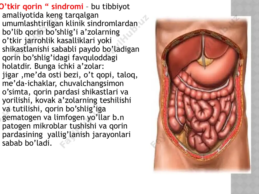 aralashgan bo’lsa , bu me’da-ichak tizimidan qon ketayotganidan dalolat beradi. patologiya turi umumiy simptomlar mahalliy simptomlar jarohat shok ,qon ketishi qorin old devori mushaklarining tarangligi va og’riq peritonit intoksikatsiya qorin old devori mushaklari tarang ,og’riqli qorin bo’shlig’iga qon ketishi qon ketishi qorin yumshoq, og’riqli,qorin pastki qismida to’mtoqlik aniqlanadi ichak tutilishi degidratasiya qorin yumshoq, shishgan, chegaralangan sohada og’riq qorin devorining shikastlari bu shikastlar qorinning bevosita travmasida,og’ir yuk ko’targanda kuzatiladi. qorin devorining shikastlari yopiq(qorin to’gri mushagining yirtilishi) va ochiq(jarohatlar) turlarga bo’linadi. yopiq shikastlanish uchun mahalliy og’riq va gematoma xarakterlidir. palpasiyada gematoma o’smasimon hosila ko’rinishida aniqlanadi.qorin to’gri mushagi yirtilganda qorin mushaklari taranglashganda ham, bo’shashganda ham o’smasimon hosila aniqlanadi. ba’zan qorin devori tomirlarning yirtilishi kuzatiladi bunda gematoma asosan qorin pardasi ustida joylashib anchagina maydonni egallaydi. klinik jihatdan qorin mushaklari taranglashadi. davosi.qorin devori yopiq shikastlanganda bemorga tinch sharoit yaratiladi. dastlabki kunlari sovuq,keyinchalik issiq muolajalar o’tkaziladi.katta gematomalar bo’shatilishi(punksiya qilib tortib olish,kesish) kerak. qorin ochiq jarohatlanganda jarohatga …