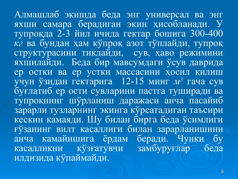 ҳайдаш чуқурлигида кўмилади. ерни қўш ярусли плугда ҳайдаш оддий ҳайдашга қараганда далани бегона ўтлардан тозалаш имконини беради. * бедапоялар ҳам қўш ярусли плугда қатламма-қатлам ҳайдалса, келаси йили у қайта кўкламайди, илдиз қолдиқлари тупроқ горизонтлари бўйича бир хилда тақсимланиб, унинг унумдорлигини ошириш учун қулай шароит яратади. кўплаб илмий текшириш муассасалари ва илғор хўжаликларнинг тажрибалари кузги шудгорлаш ҳисобига пахта ҳосили гектарига 10-20 фоиз ва ундан ҳам кўпроқ ошишини тасдиқламоқда. * кузги шудгорлашни октябрнинг 2-ярми ва ноябрь ойларида ўтказилгани маъқул. кузда ерлар ҳаддан ташқари эрта муддатларда ҳайдалса, кўкламда далаларни кўплаб бегона ўтлар босади, шудгорлаш кечиктириб ўтказиладиган бўлса, совук; тушиб ер музлаши ёки тупроқ сернам бўлиши оқибатида тупроқни сифатли ишлаш қийинлашиб қолади. йирим-терим бригада ёки хўжалик бўйича тугалланишини кутиб ўтирмасдан, ғўзадан бўшаган майдонларда далани конвейер усулида ғўзапоядан тозалаш ва пешма-пеш ҳайдашга киришиш керак. иш шу тартибда ташкил этилганда дала ғўзапоядан тез бўшайди ва ер ўз вақтида ҳайдалади. * кузги шудгорлашни баҳорги ҳайдашга алмаштириш тавсия …