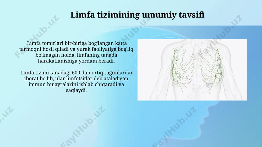 limfa sistemasi - Page 5