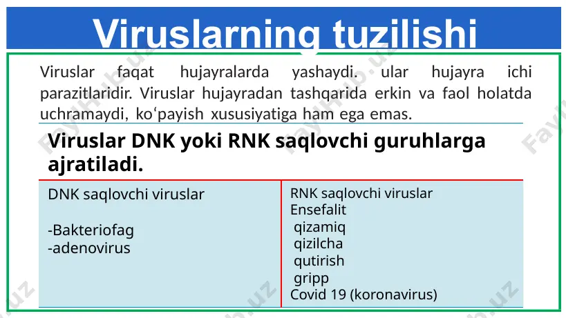 viruslarni o‘rganish tarixi - Page 4