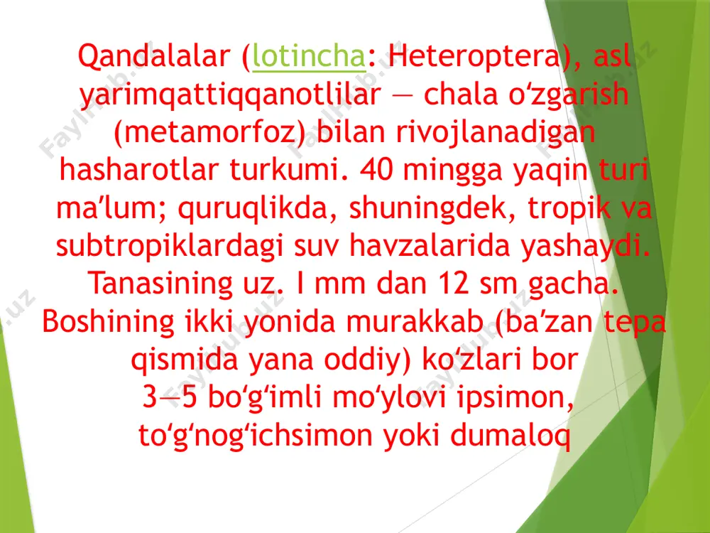 ri uchun xavfli. baʼzi qandalar oʻsimliklarning virusli kasalliklari, , barg bujmayishi, lavlagi mozaika kasalligi kabilarni tarqatadi. baʼzi quruqlik qandalasi odam va issiq qonli hayvonlarning (koʻrshapalaklar, qushlar va boshqalar) tashqi paraziti boʻlib, ularning qoni bilan oziqlanadi. qalqondorlar oilasiga mansub yirtqich qandala foyda keltiradi qattiq qanotlilarning hozirgi kunda 300 mingga yaqin turi fanga ma’lum. qandalalar g’o’zaga qandala fitofaglaridan 13 turi tushishi qayd etilgan, ammo bulardan 2 turi beda va dala qandalasi eng ko’p zarar yetkazadi. ular yarimqattiqqanotlilar yoki qandalalar turkumiga miridlar oilasiga mansub. bu turdagi qandalalar barcha viloyatlarda keng tarqalgan bo’lib bazida ekinlarga jiddiy zarar yetkazishi mumkin beda qandalasi. g’o’za beda yo’ng’ichka lavlagi kabi o’simliklarga tushadigan zararkunanda xisoblanadi. beda qandalasi g’o’zaning shona gul ko’saklarni sanchib so’rib zararlaydi. qattiq zararlangan shone va gullar qurib qoladi, ko’ragdagi tola kamayib sifati xam pasayadi. beda qandalasi 6,5 dan 9,5 mm gacha kattalikda bo’ladi beda qandalasi qoramtir yoki sarg’ish yashil erkaklari to’qroq tusli. yelkasida ikita qora nuqta, …