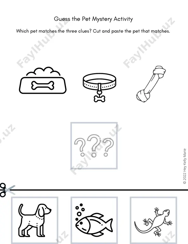 guess the pet mystery activity - Page 2