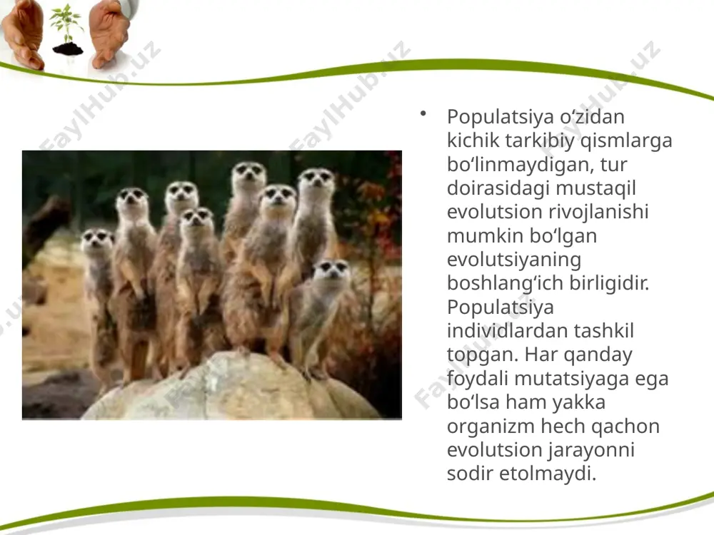 tildi. evolutsiya sintetik nazariyasining asosiy qoidalarini quyidagicha ifodalash mumkin populatsiya – evolutsiyaning eng kichik, elementar birligi. populatsiya genetik tarkibining o‘zgarishi evolutsiyaning elementar hodisasi hisoblanadi. evolutsiyaning boshlang‘ich materiali mutatsion va kombinativ o‘zgaruvchanlik hisoblanadi. evolutsiyaning harakatlantiruvchi omillari: populatsiya to‘lqini, genetikavtomatik jarayonlar (genlar dreyfi ),migratsiya, alohidalanish, yashash uchun kurashda yuzaga chiqadigan tabiiy tanlanishdan iborat. mutatsion va kombinativ o‘zgaruvchanlik, populatsiya to‘lqini va alohidalanish tasodifi y yo‘naltirilmagan xarakterga ega omillardir. evolutsiyaning yo‘naltiruvchi omili yashash uchun kurash asosida paydo bo‘ladigan tabiiy tanlanishdir. evolutsiya asta-sekin va uzoq davom etadigan jarayondir. tur o‘zaro bog‘langan, morfologik, fi ziologik va genetik jihatdan farq qiladigan, biroq reproduktiv jihatdan alohidalashmagan birliklar – kenja turlar va populatsiyalardan tarkib topadi. allellar almashinuvi, genlar oqimi tur ichidagina ro‘y beradi. evolutsiya divergent xarakterga ega, ya’ni bir turdan bir necha turlar kelib chiqishi mumkin, ba’zan esa yagona bir turdan boshqa yagona tur kelib chiqishi mumkin. mikroevolutsiya tur doirasida, makroevolutsiya turdan yuqori sistematik birliklarda yuzaga keladigan evolutsion jarayonlarni …